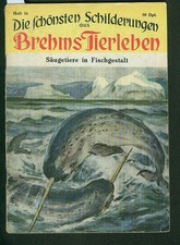 Die schönsten Schilderungen