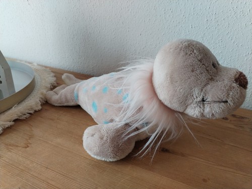 Nici robbe seehund - nici, seerobbe