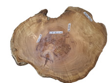 1x Kirschbaum Baumscheibe