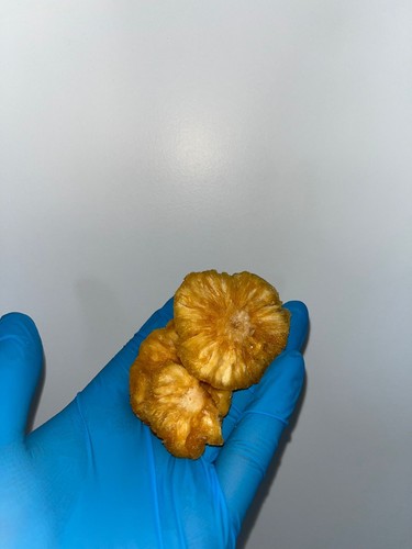 Getrocknete ananas 200kg - getrocknete, —