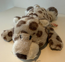 Nici Schneeleopard Junge