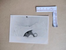 🟤 Alte Fotografie Foto 1963