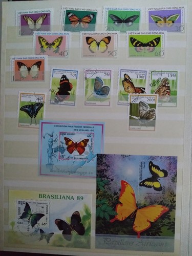 Motivsammlung schmetterlinge - motivsammlung,