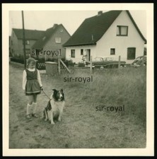 House Driveway with Great