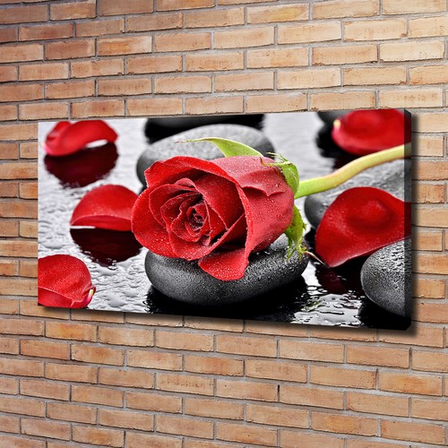 Leinwandbild kunst druck - leinwandbild, kunst-druck