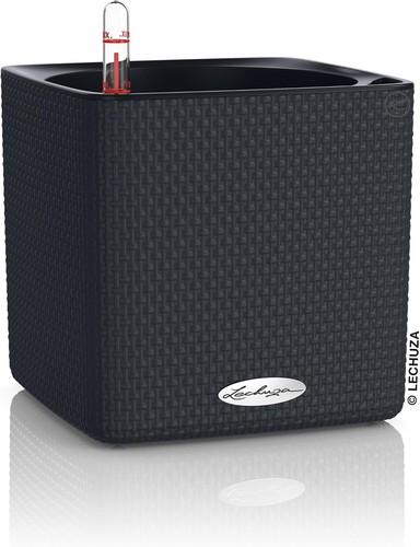 Lechuza cube color - "cube,