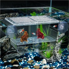Aquarium Fischbrutkasten Ablaichkasten für Babyfische Garnelen Guppy Betta