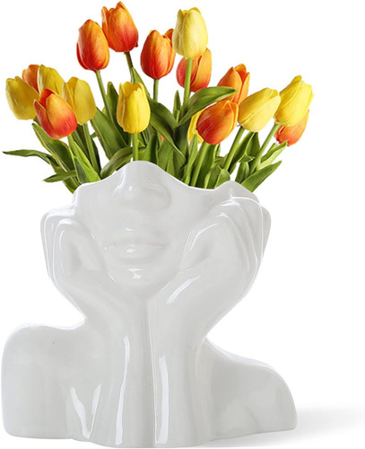 Cemabt gesicht vase blume - gesicht,