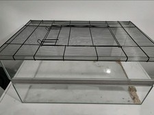 Kleintier Terrarium aus Glas