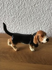 Hund, Basset, Jagdhund