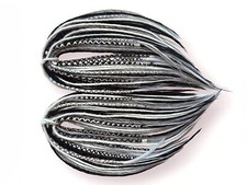 Black & Gray Dreadlock