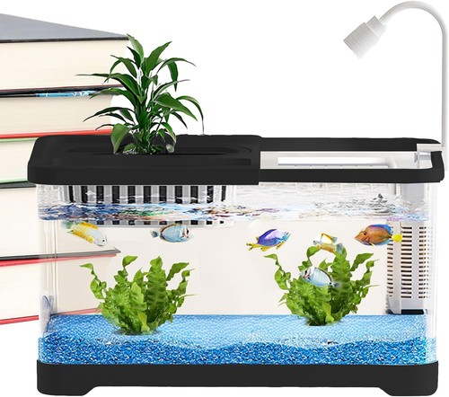 Betta fishaquariums - betta,