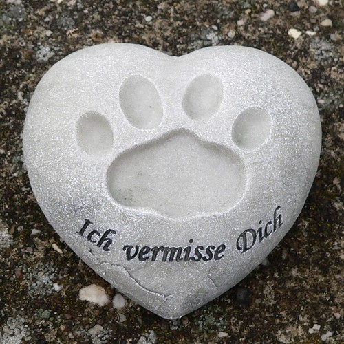Grabschmuck hund katze - hund,