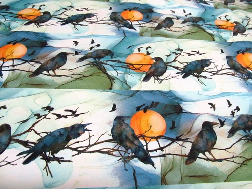 Rabe krähe raben - krähe, halloween
