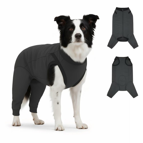 Hundebody nach schutzanzug - nach, op,schutzanzug