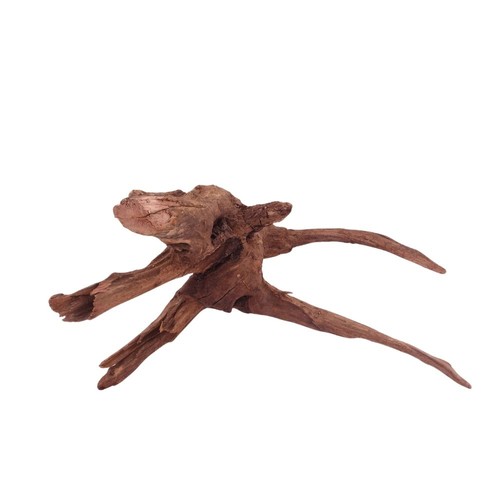 Driftwood flußwurzel - m,