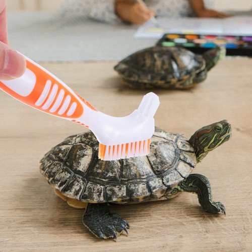 Schildkröte zubehör - schildkröte,