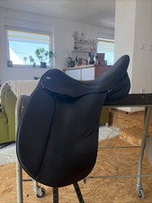 Jorge Canaves Celebration