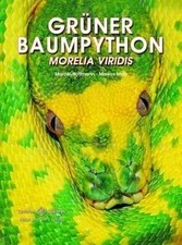 Grüner Baumpython: Morelia