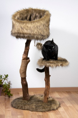 Design kratzbaum etagen - design,