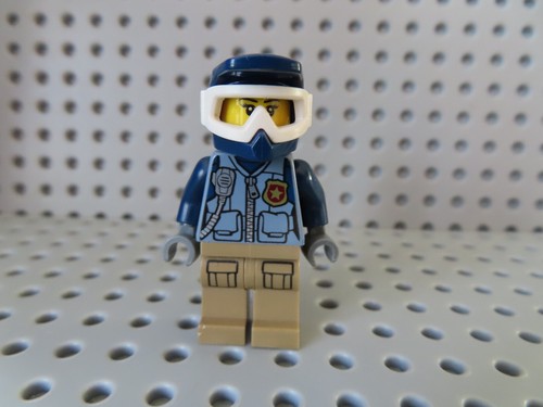 police helm
