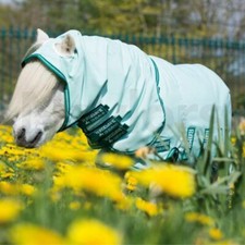 Brandneu mit Etikett