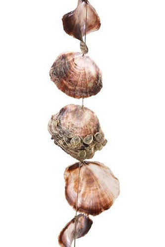 Muschelgirlande muschelkette - muschelgirlande,