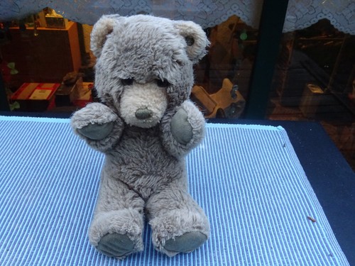 Teddybär steiff knopf - steiff, im