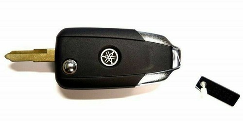 Fernbedienung smart key - fernbedienung,