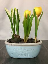 Pokal*Schale*Seidenblume*Blume