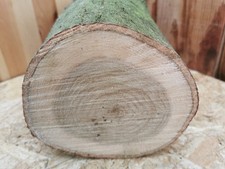 Eiche Drechselholz – 15 cm