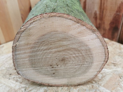 Eiche drechselholz 15 cm - eiche,