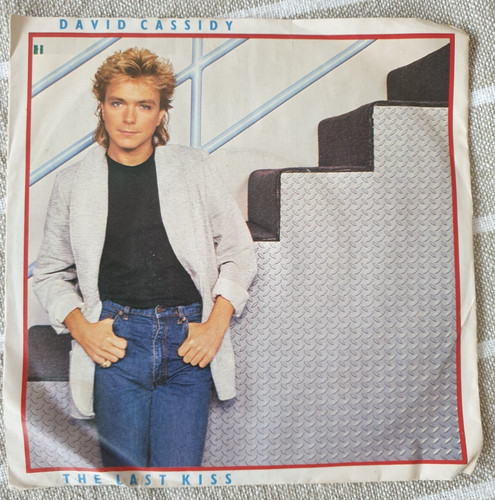 Vinyl single david - 7",
