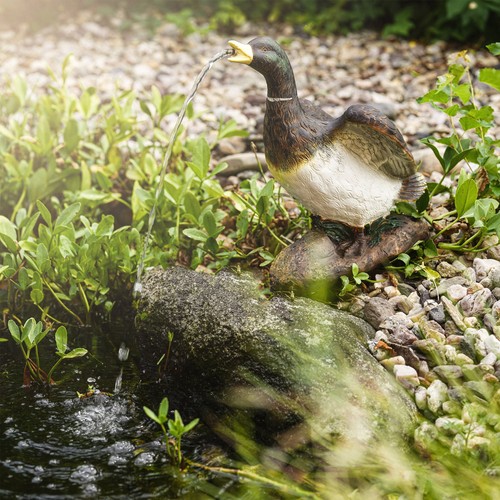 Esotec wasserspeier ente - esotec,
