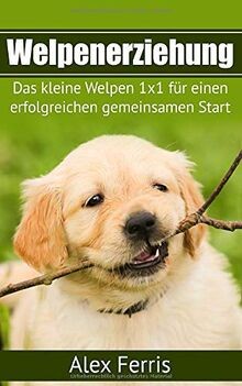 Welpenerziehung das kleine - das,