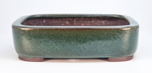 Bonsaischale yamaaki tokoname - bonsaischale,