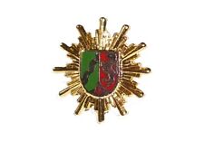 Pin Polizeistern NRW gold