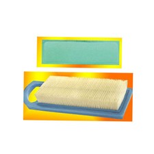 Luftfilter für Briggs &