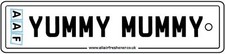 AAF - YUMMY MUMMY LICENSE