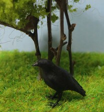 ( 1:22,5 ) Rabe Kolkrabe -