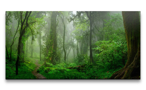 120x60cm leinwandbild wald - 120x60cm,