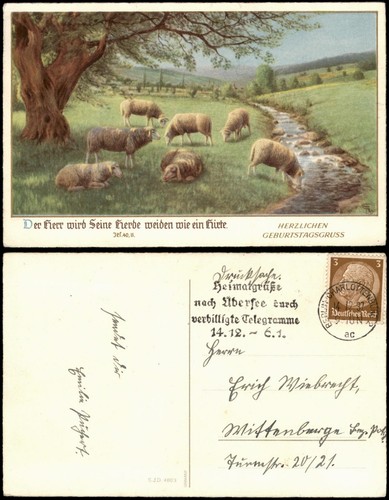 Schafherde bachlauf - schafherde,