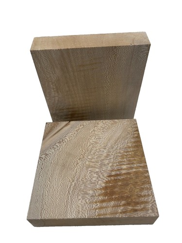 Platane drechselholz - platane,