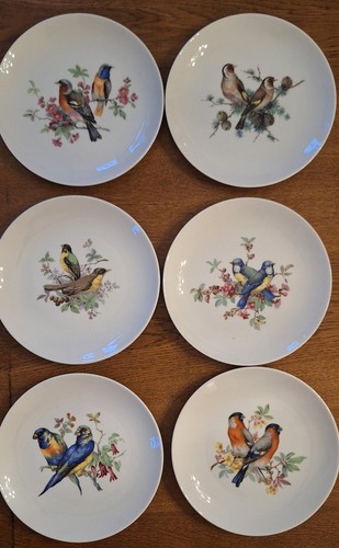 6er set exklusive sammelteller - 6er,