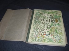 Aus Wald und Flur - Pflanzen