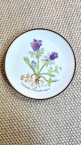 Rosenthal teller wandteller - rosenthal, teller/wandteller