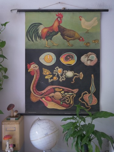 Vintage - vintage, |