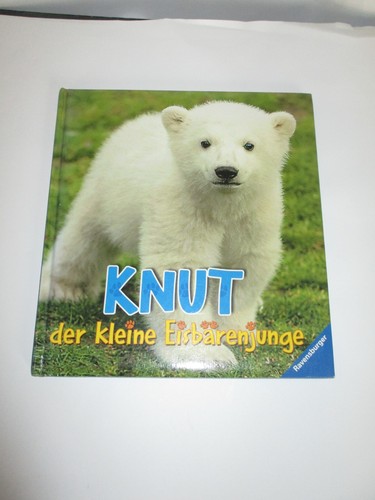 Knut der kleine - , eisbärenjunge