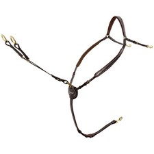 PASSIER Marcus Ehning Pony