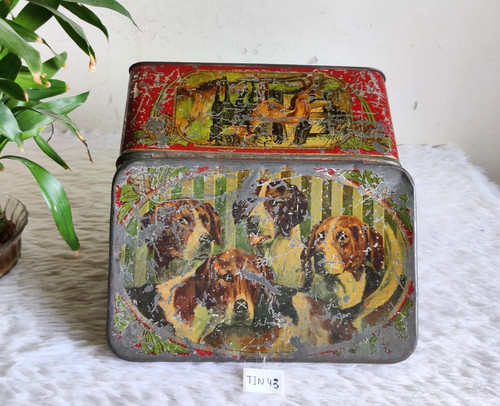 1930er vintage beagle - beagle, hund